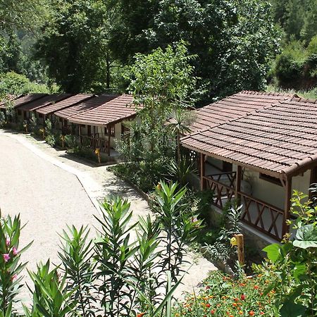 Eco Family Park Hotell Beskonak Exteriör bild