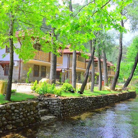 Eco Family Park Hotell Beskonak Exteriör bild