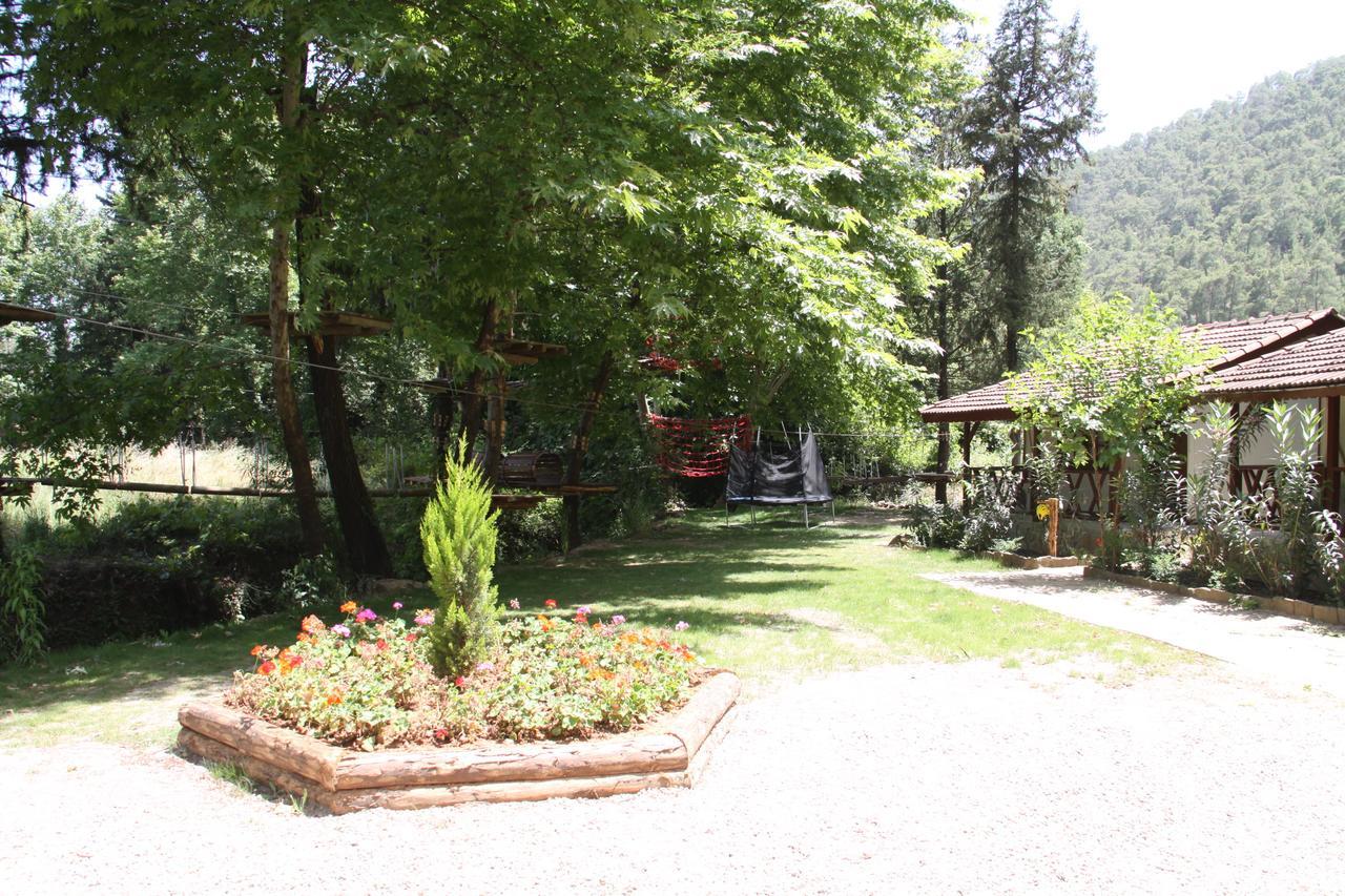Eco Family Park Hotell Beskonak Exteriör bild
