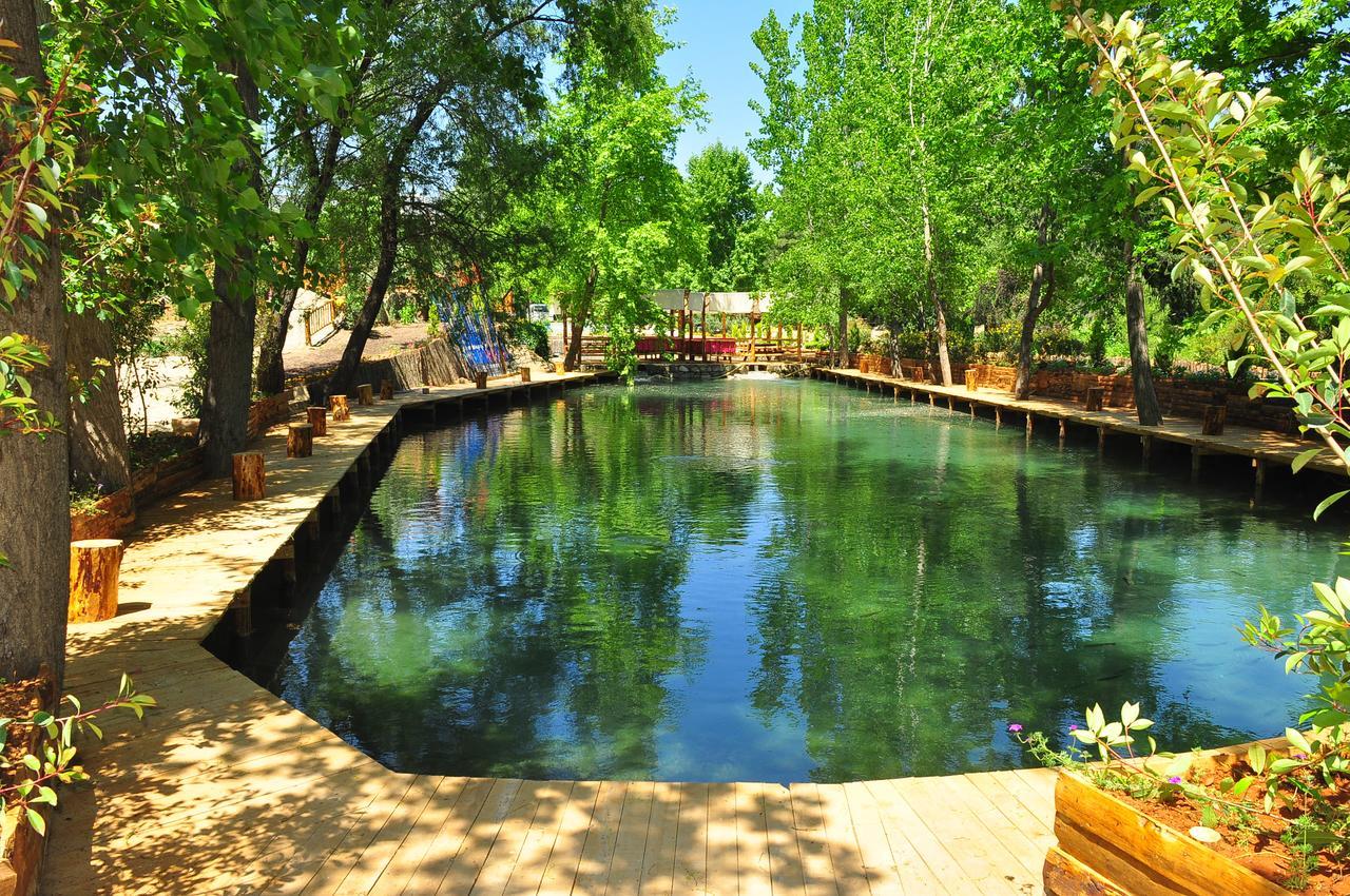 Eco Family Park Hotell Beskonak Exteriör bild
