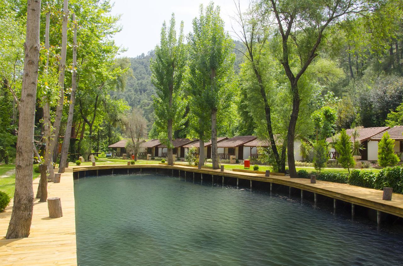 Eco Family Park Hotell Beskonak Exteriör bild