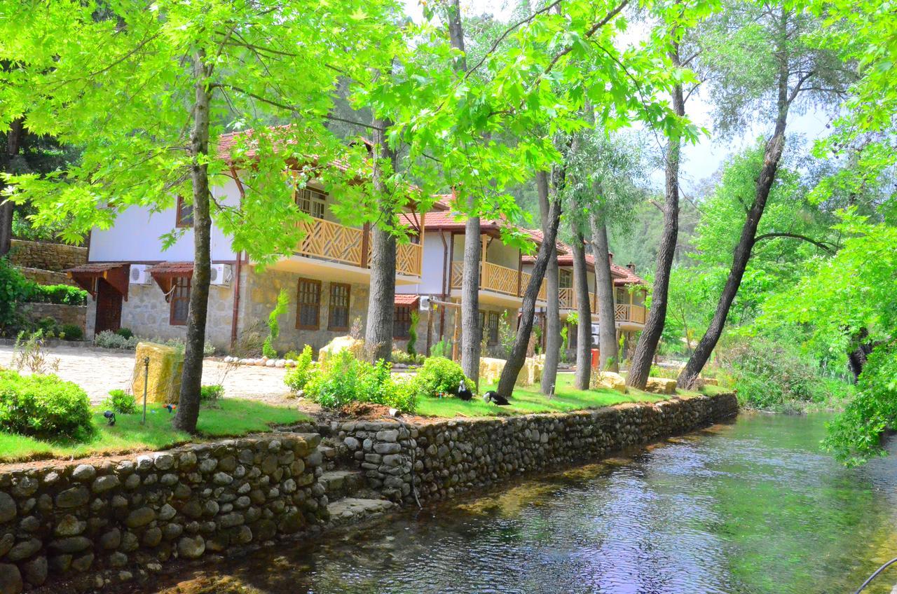Eco Family Park Hotell Beskonak Exteriör bild