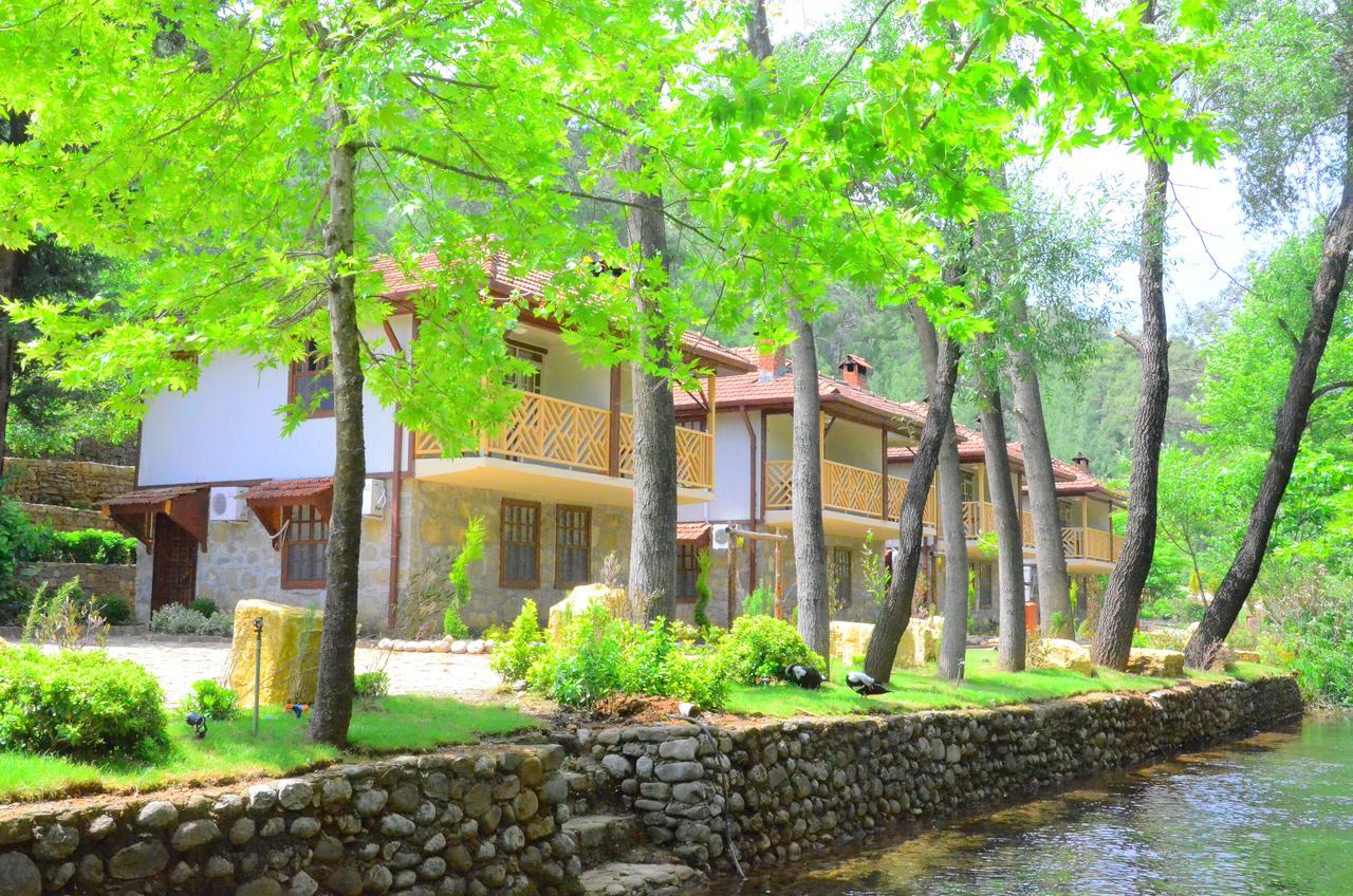 Eco Family Park Hotell Beskonak Exteriör bild
